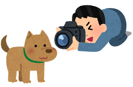 カメラ　犬